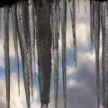 Eiszapfen (zingst-im-winter_100_6258.JPG) auf Zingst im Winter