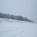 Winterstrand (zingst-im-winter_100_6807.JPG) auf Zingst im Winter